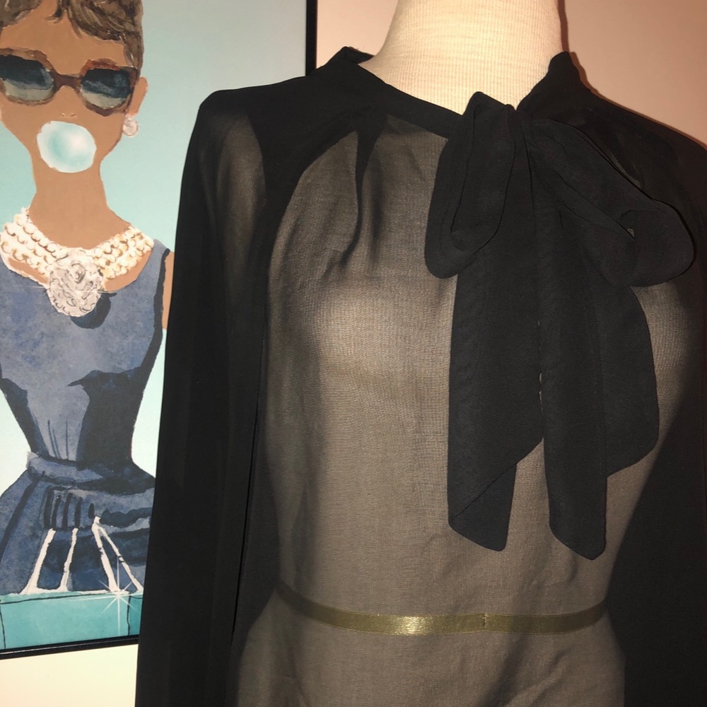 Sheer Blouse